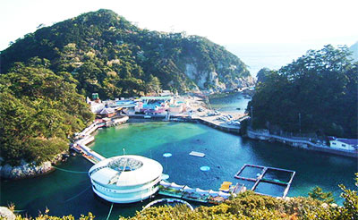 下田海中水族館